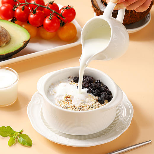 植物酸奶发酵菌500g/1kg 可制成约4.3倍的成品  森格觉康&素咖云超 轻松制作专业级植物酸奶 发酵酸奶、制益生菌饮品直饮、做烘焙原材料 用于面包、乳酪、酸奶果昔、生食等发酵配方 商品图4