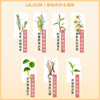 Lululun 舒缓肌肤改善暗沉提亮肤色 补水保湿面膜 7片【BS】 商品缩略图4