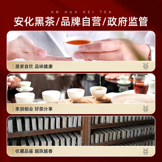 茶马世家 安化黑茶 茯砖颗粒 216g礼盒装 商品图5