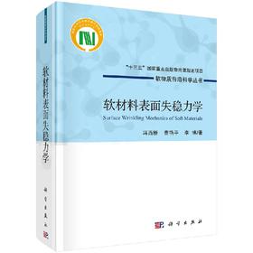 软材料表面失稳力学