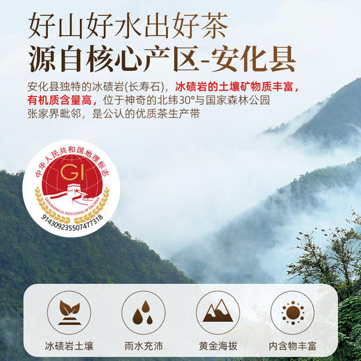 茶马世家 仁义礼智信安化黑茶金花茯砖2kg 礼盒装 商品图1