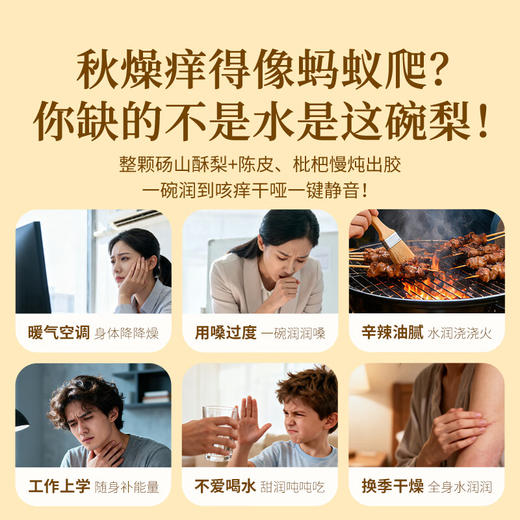 福东海 陈皮枇杷炖梨258g*9碗 冰糖银耳烤梨小吊梨汤水果罐头即食礼品 商品图6