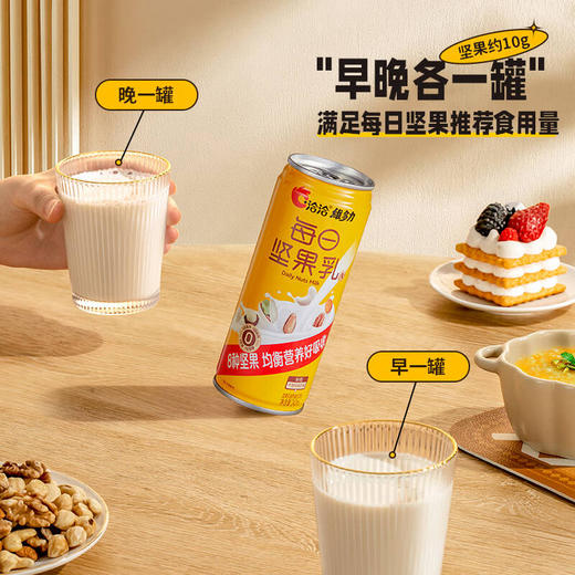 洽洽维多力每日坚果乳240ml 商品图4