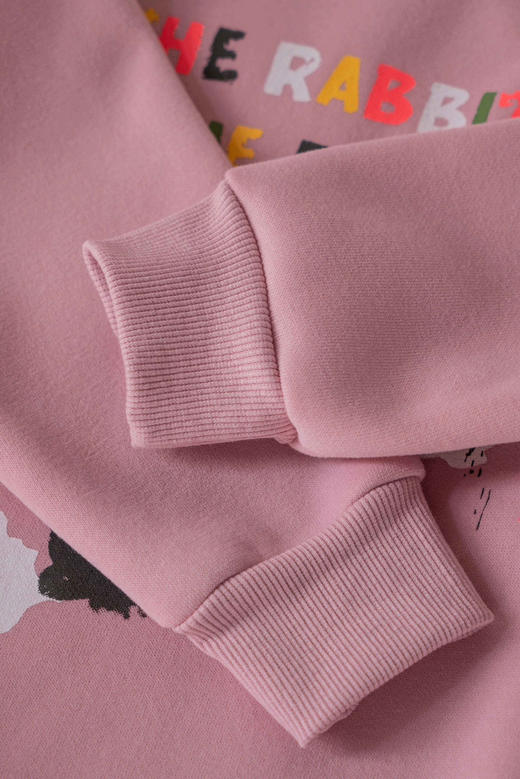 【57.8任选2件】贝叮熊奥粒绒休闲潮童卫衣 商品图10