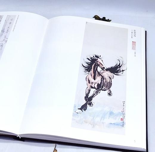 捡漏！！《徐悲鸿南洋遗作画集：悲鸿遗韵三编+续编》，作者: 刘建业 编，西泠印社，2015-2016一版一印，单本定价：580，总定价：1160，售价：388 商品图10