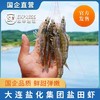 [盐化集团]【活虾速冻】3斤复州湾盐场盐田虾(有大有小) 商品缩略图1