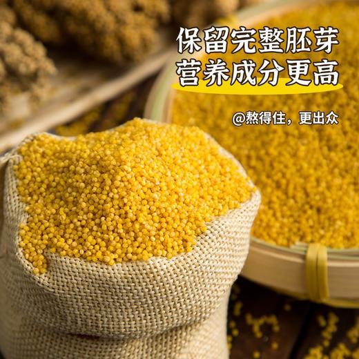 新品上市    蒙清有机小香米2.5kg    【 新米上市 】农家小米 商品图5