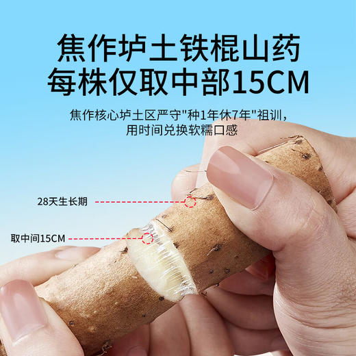 福东海 山药鲜浆薄脆饼500g 黑芝麻饼干孕妇休闲零食 饱腹粗粮独立包装 商品图2