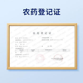 安速蟑螂药杀蟑饵剂室内全窝端杀大小蟑螂诱饵盒蟑螂屋杀虫剂12枚 商品图4