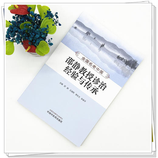 全国名老中医邵静教授诊治经验与传承 邵静 王湘雨 季东方 耿振平 主编 中国中医药出版社 商品图1