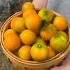 西域美农 广西融安金桔  滑皮金桔  脆蜜金桔 从皮到芯都甜滋滋的 商品缩略图0