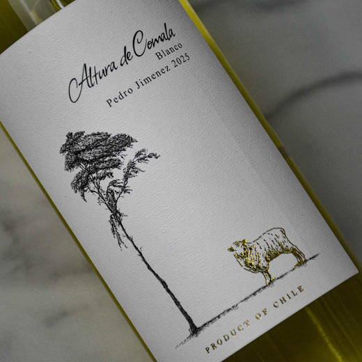 白衣骑士无醇起泡白葡萄汁 商品图3