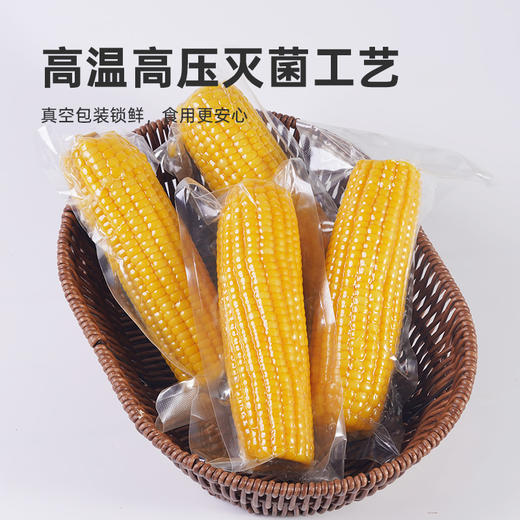 彩虹星球|有机黄糯玉米 商品图3