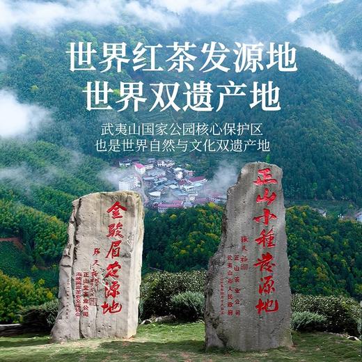 正山堂 正山小种 野茶 武夷红茶 桐木关 茶叶 礼盒 100g 商品图3