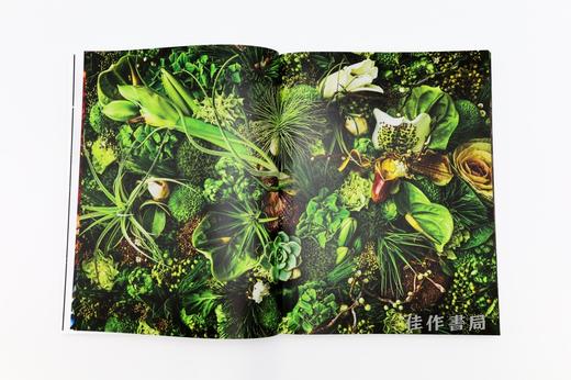 植物図鑑Ⅵ / Encyclopedia of Flowers VI / 植物图鉴 6 商品图3