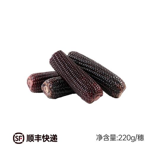 彩虹星球|有机黑糯玉米 商品图4