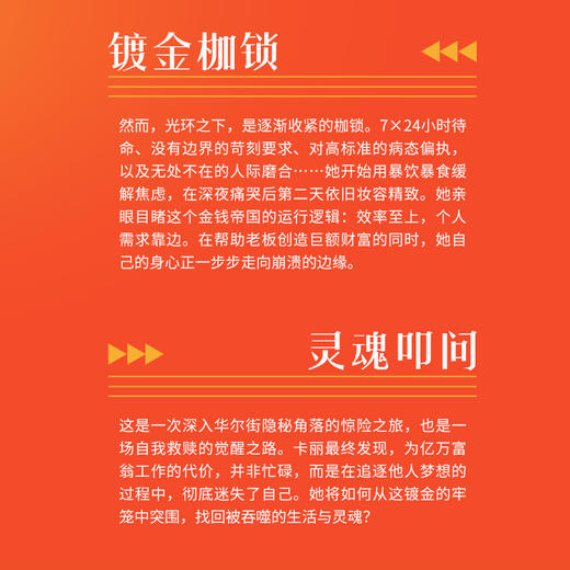 梦碎华尔街：私募工作回忆录 窥探金融投资行业富豪圈层华尔街隐秘规则 职场女性博弈成长励志自我实现认知觉醒 真实叙事书籍 商品图3