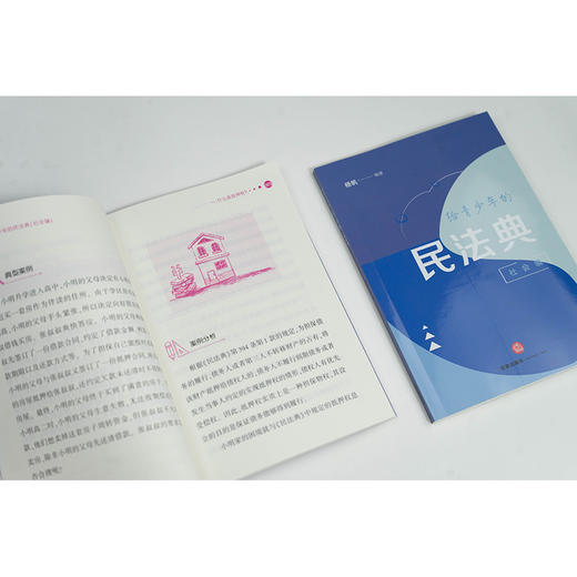 给青少年的民法典（社会编） 杨帆编著 法律出版社 商品图1