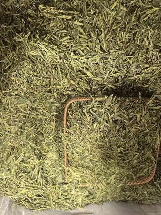 【茗】杭州特产明前龙井绿茶 商品图5