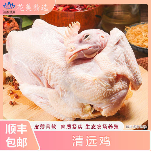 广州清远鸡 自然馈赠 品味鲜美 商品图0