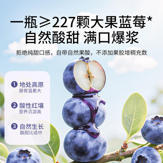 福东海 蓝莓果酱250克  鲜花酱蜜酱果酱 糖浆甜品白凉粉冲饮烘焙原料 喝茶伴侣 商品图5