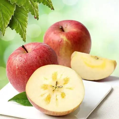 【新鲜】山西冰糖心苹果大果2斤装 商品图0