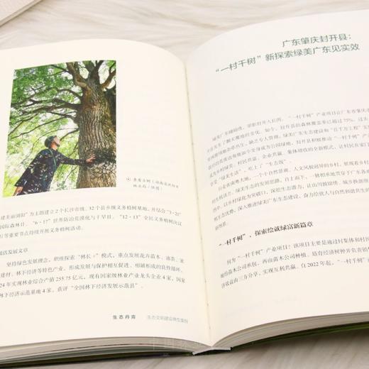 生态丹青——生态文明建设典型案例 &3350 商品图5