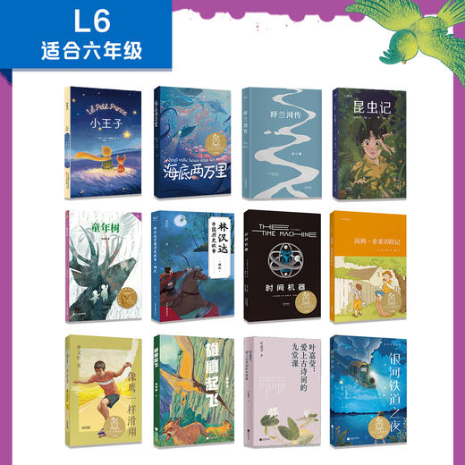 【六年级】中文分级阅读文库（全12册） 商品图1