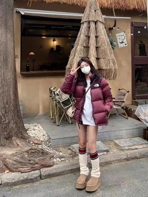 The North Face北面1996系列羽绒服男女同款 商品图2