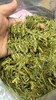【茗】2025年杭州西湖龙井头采 商品缩略图4