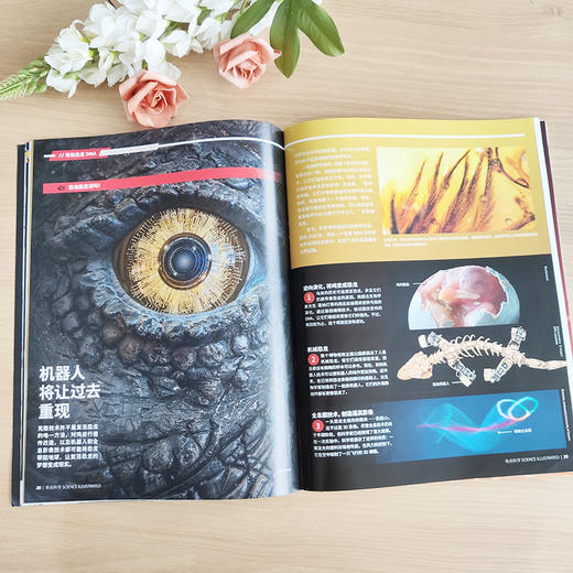 【订阅】《好奇少年杂志》2026年刊订阅 Science Illustrated中文版年刊12期 商品图5