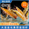 [盐化集团]【活虾速冻】3斤复州湾盐场盐田虾(有大有小) 商品缩略图0