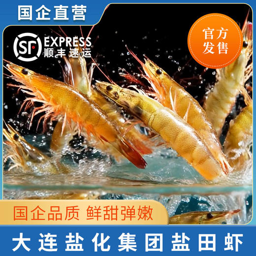 [盐化集团]【活虾速冻】3斤复州湾盐场盐田虾(有大有小) 商品图0