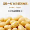 时令堂有机黄豆650g东北老品种黄豆 商品缩略图4