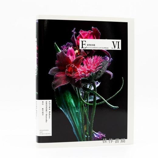 植物図鑑Ⅵ / Encyclopedia of Flowers VI / 植物图鉴 6 商品图0
