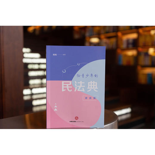 给青少年的民法典（家庭编）杨帆编著 法律出版社 商品图0