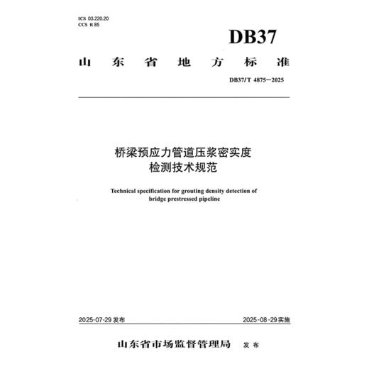 桥梁预应力管道压浆密实度检测技术规范（DB37/T 4875-2025） 商品图3