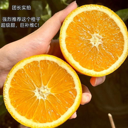 三峡纽荷尔脐橙【11月应季水果】 商品图2