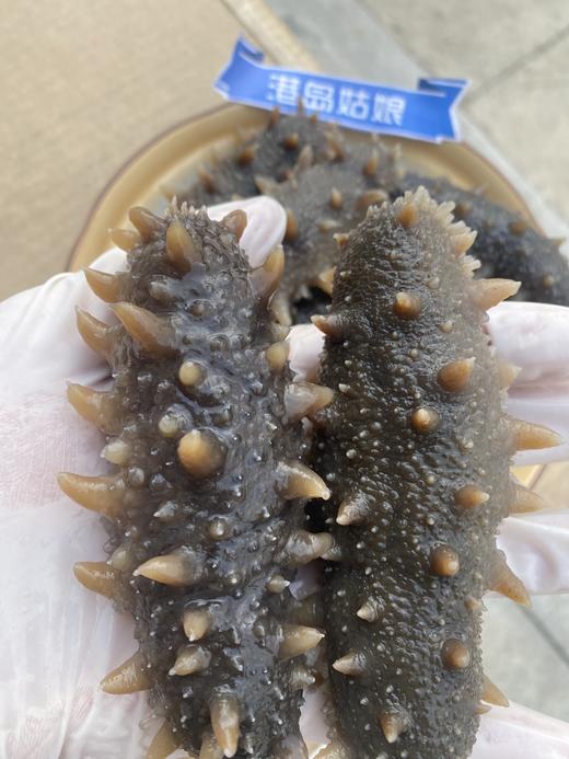 xm高品质 ，顶普通参10根！-销量几十万｜特级即食辽刺参 超值福利，好价不等人，售完即止！​ 商品图6