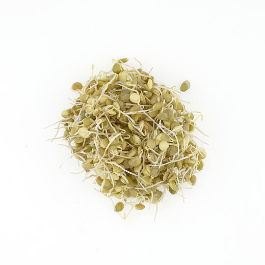 【自然农法】有机土培小扁豆芽 商品图0