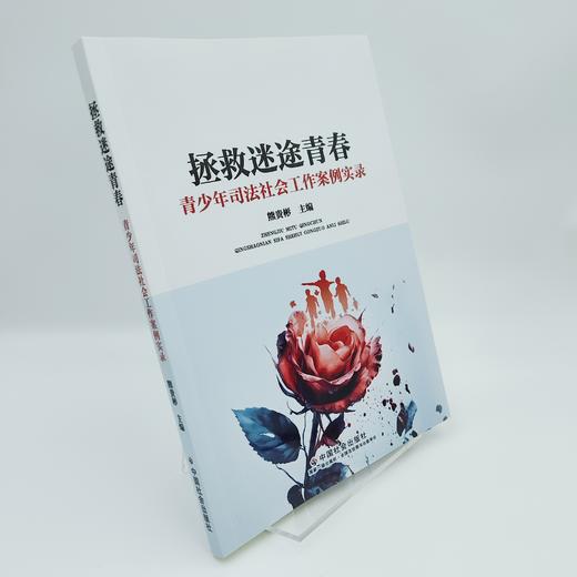 拯救迷途青春：青少年司法社会工作案例实录 商品图4