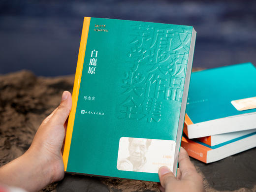 《茅盾文学奖经典作品集》（4册）|中国当代文学巅峰之作，陈忠实、阿来、王安忆、毕飞宇，带你沉浸在四段跨越时代的人生史诗，每一句都是人间清醒、处事真相|赠人民文学出版社老照片拍立得卡 商品图3