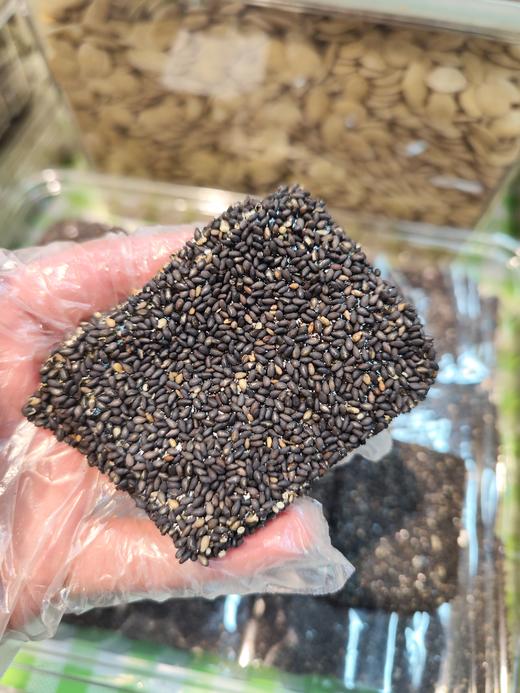 芝麻软片  不粘牙  不甜腻  芝麻香气足  配料干净 健康美味   合格证在整件包装里面，散称是不带合格证的哦~ 商品图1