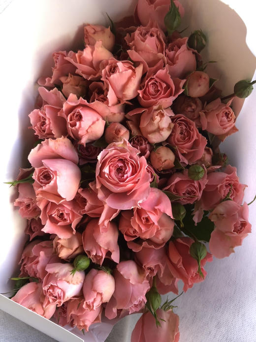 多头玫瑰·人鱼公主 商品图1