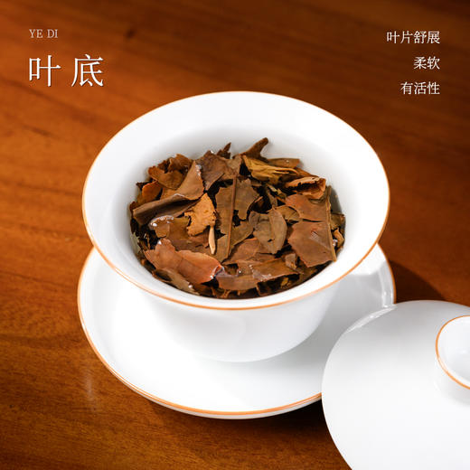 懂茶帝高山茶福鼎白茶高山老白茶2019年西昆菜茶贡眉饼350g 商品图2