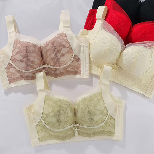 ZYQ-619  内衣小胸聚拢显大滑滑杯舒适性感蕾丝宫廷风大调整本命年文胸（单件） 商品图0