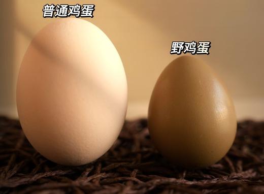 【贵州高山七彩野鸡蛋】冠天骄🥇七彩野鸡蛋🥚 鸡蛋还是【野】的好！ 商品图3