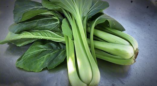 老品种青菜400g~农场现摘现发 商品图2