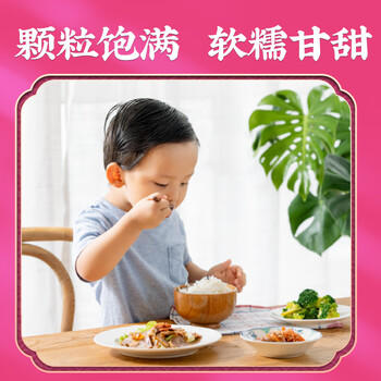 隆平芯米鹤乡珍米10斤 2025年新米 珍珠米 东北大米 寿司粥米 粳米5kg /粮油调味 /米 /珍珠米 商品图4