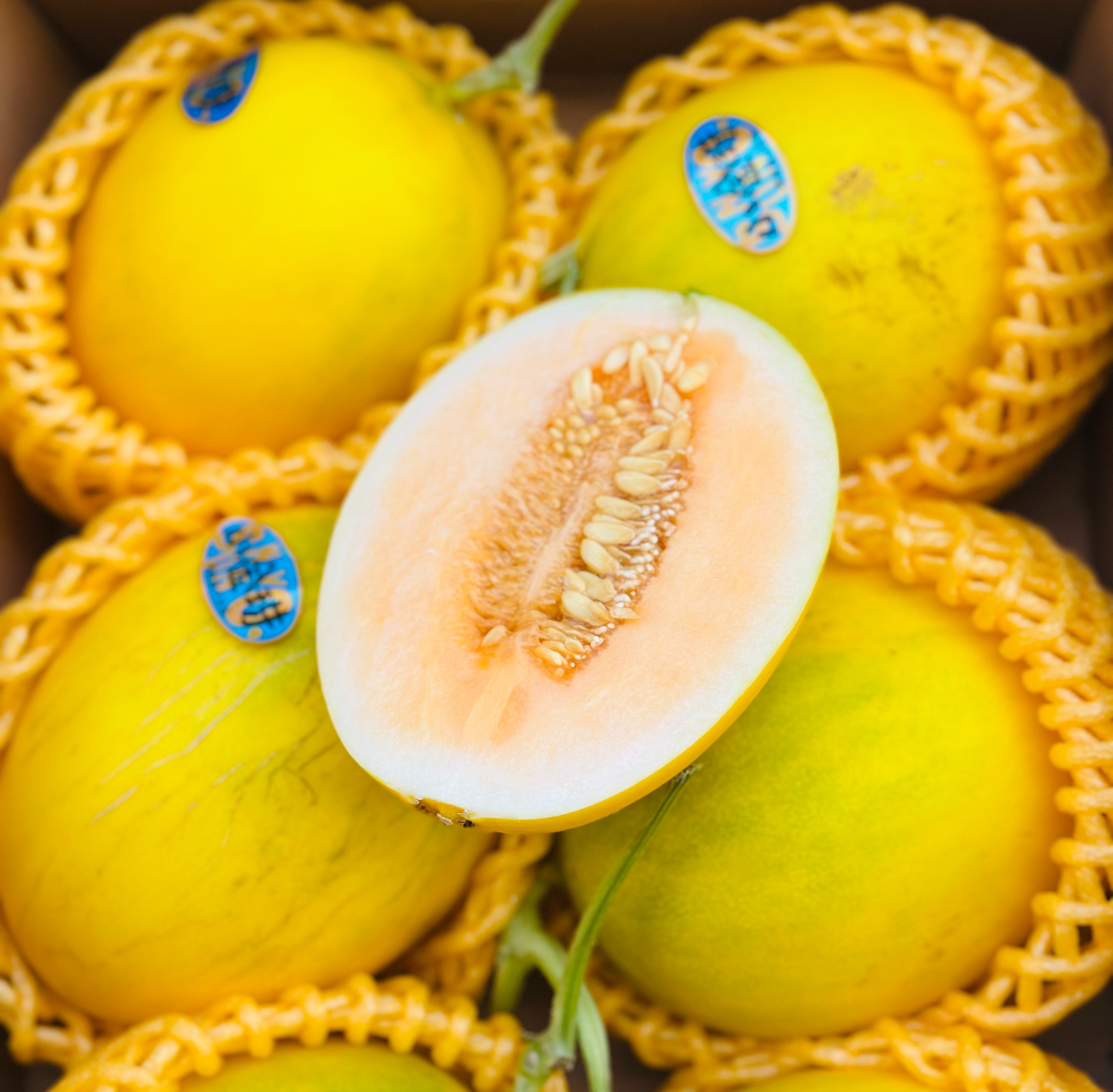 金蛋小甜瓜，炫到停不下来🍈 这瓜简直是秋冬限定的宝藏咬上一口，脆嫩的瓜肉在齿间爆开，汁水如蜜般四溢，甜度轻松飙到 18°+，满满的甜蜜冲击着味蕾